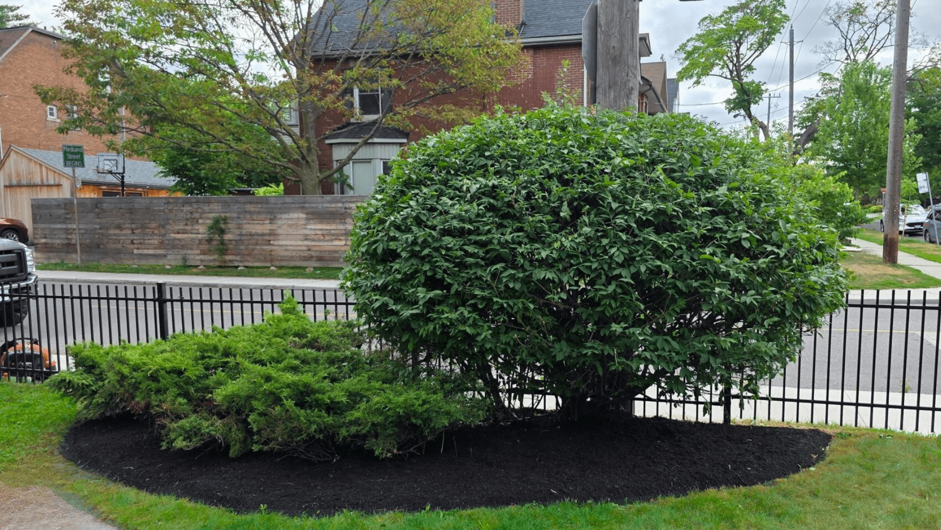 Freshly trimmed hedges at a residential property in Etobicoke