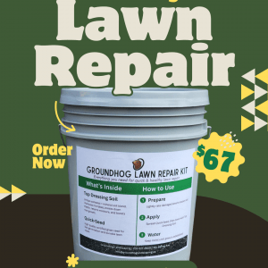 Groundhog Lawn Repair Kit