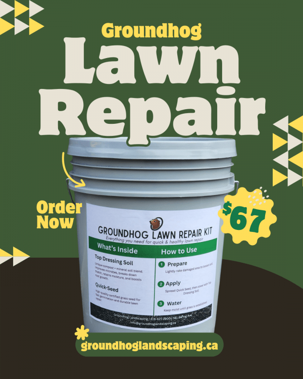 Groundhog Lawn Repair Kit