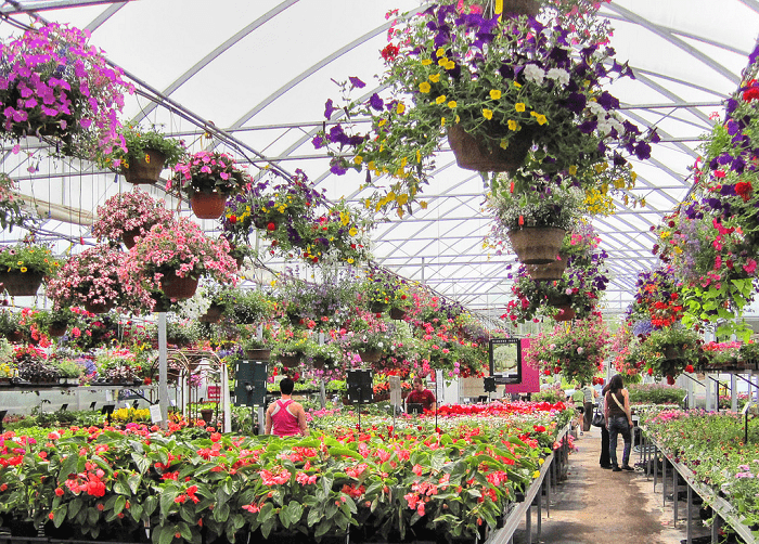 Custom planting and Selection