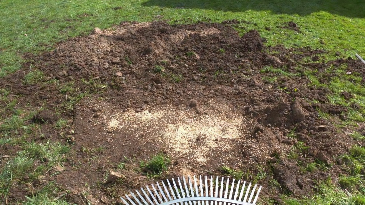 Lawn repair and patching